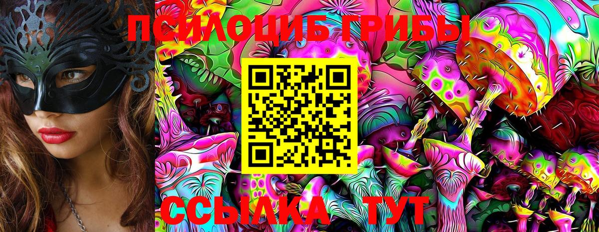 Псилоцибиновые грибы мицелий Улан-Удэ