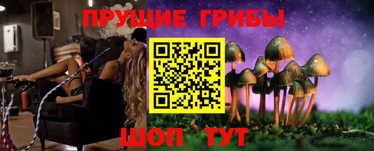 Галлюциногенные грибы ЛСД  Псилоцибиновые грибы прущие грибы  как найти   Вход с VPN  Улан-Удэ 
